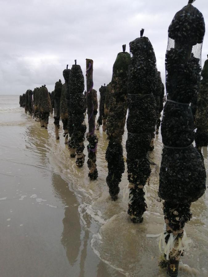 Le Cocon Des Dunes Quend Ngoại thất bức ảnh
